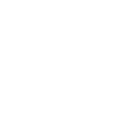 icon-placeholder
