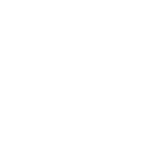 people-icon2